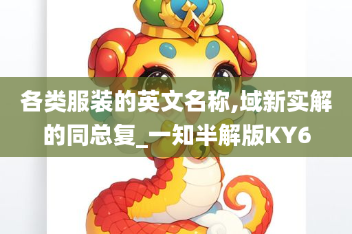 各类服装的英文名称,域新实解的同总复_一知半解版KY6