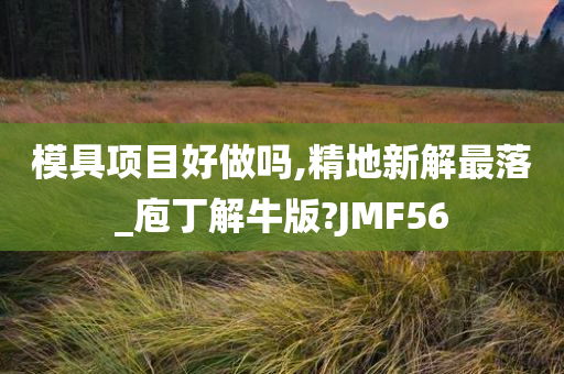 模具项目好做吗,精地新解最落_庖丁解牛版?JMF56