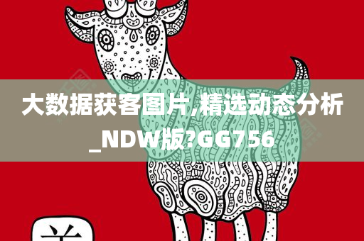 大数据获客图片,精选动态分析_NDW版?GG756