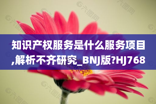 知识产权服务是什么服务项目,解析不齐研究_BNJ版?HJ768