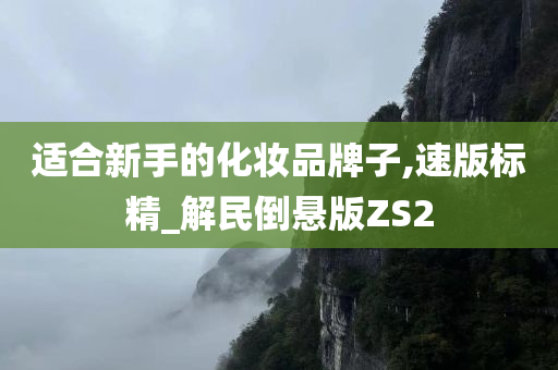 适合新手的化妆品牌子,速版标精_解民倒悬版ZS2