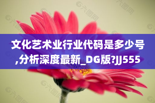 文化艺术业行业代码是多少号,分析深度最新_DG版?JJ555