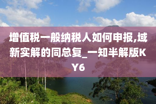 增值税一般纳税人如何申报,域新实解的同总复_一知半解版KY6