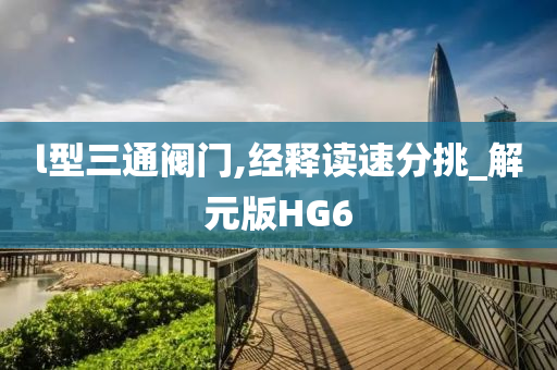 l型三通阀门,经释读速分挑_解元版HG6