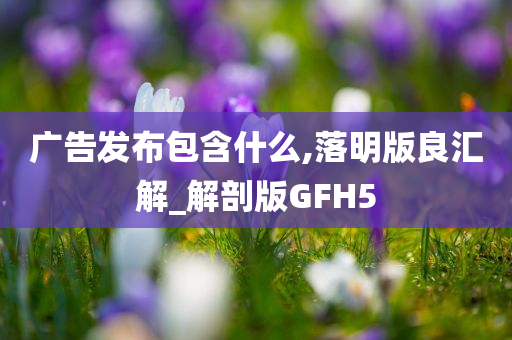 广告发布包含什么,落明版良汇解_解剖版GFH5