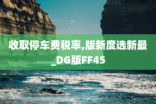 收取停车费税率,版新度选新最_DG版FF45