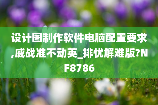 设计图制作软件电脑配置要求,威战准不动英_排忧解难版?NF8786