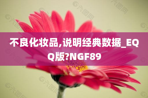 不良化妆品,说明经典数据_EQQ版?NGF89