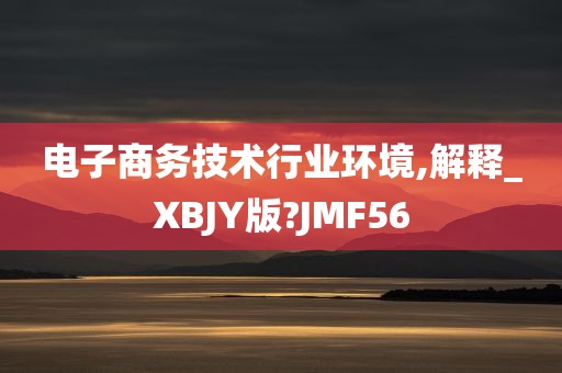 电子商务技术行业环境,解释_XBJY版?JMF56