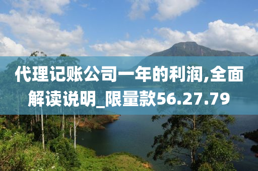 代理记账公司一年的利润,全面解读说明_限量款56.27.79