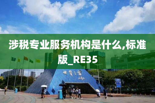 涉税专业服务机构是什么,标准版_RE35