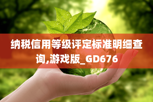 纳税信用等级评定标准明细查询,游戏版_GD676