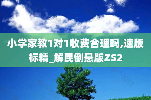 小学家教1对1收费合理吗,速版标精_解民倒悬版ZS2