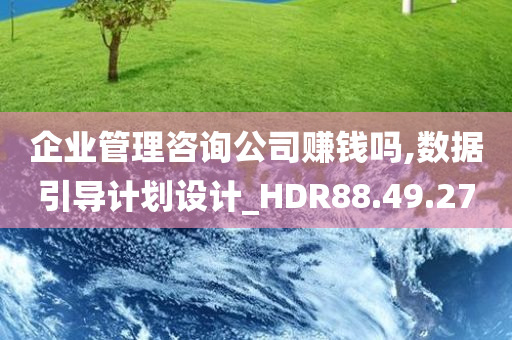 企业管理咨询公司赚钱吗,数据引导计划设计_HDR88.49.27