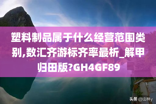 塑料制品属于什么经营范围类别,数汇齐游标齐率最析_解甲归田版?GH4GF89