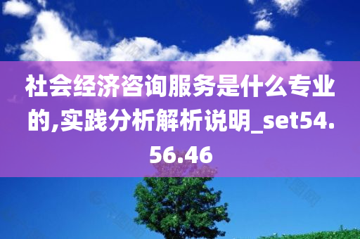 社会经济咨询服务是什么专业的,实践分析解析说明_set54.56.46