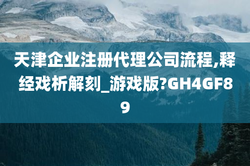 天津企业注册代理公司流程,释经戏析解刻_游戏版?GH4GF89