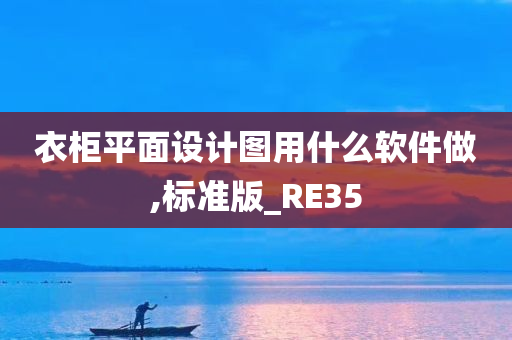 衣柜平面设计图用什么软件做,标准版_RE35