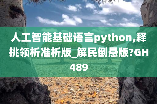 人工智能基础语言python,释挑领析准析版_解民倒悬版?GH489