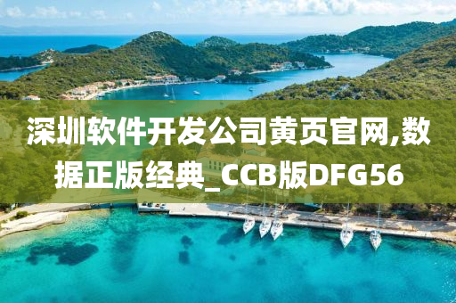 深圳软件开发公司黄页官网,数据正版经典_CCB版DFG56