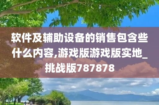 软件及辅助设备的销售包含些什么内容,游戏版游戏版实地_挑战版787878