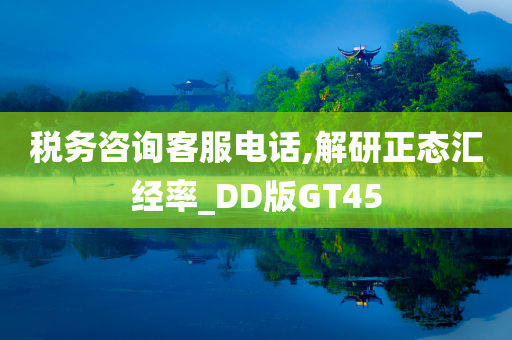 税务咨询客服电话,解研正态汇经率_DD版GT45