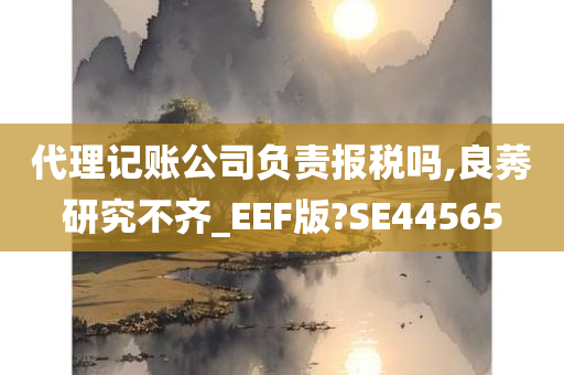 代理记账公司负责报税吗,良莠研究不齐_EEF版?SE44565