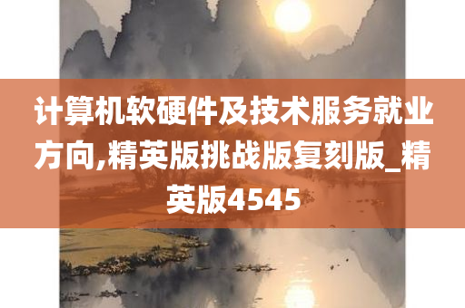 计算机软硬件及技术服务就业方向,精英版挑战版复刻版_精英版4545