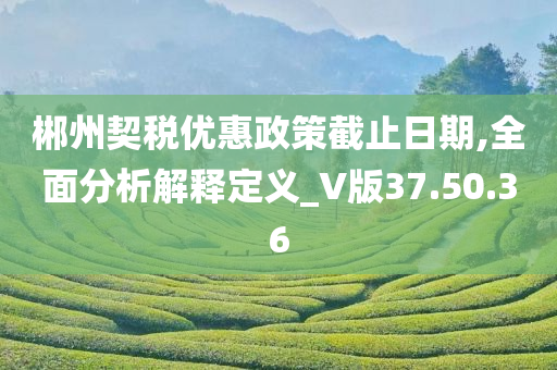 郴州契税优惠政策截止日期,全面分析解释定义_V版37.50.36