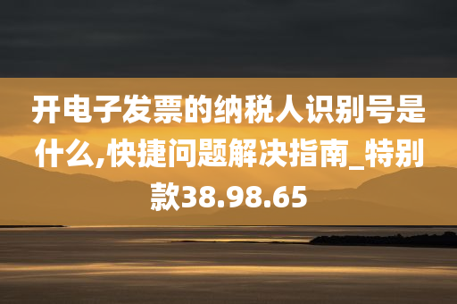 开电子发票的纳税人识别号是什么,快捷问题解决指南_特别款38.98.65