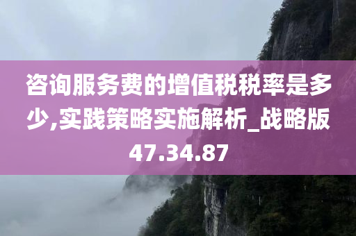 咨询服务费的增值税税率是多少,实践策略实施解析_战略版47.34.87