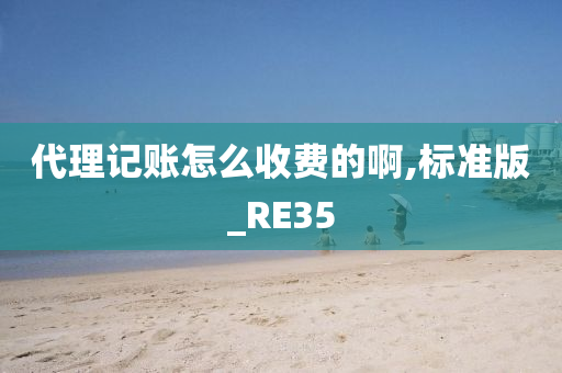 代理记账怎么收费的啊,标准版_RE35