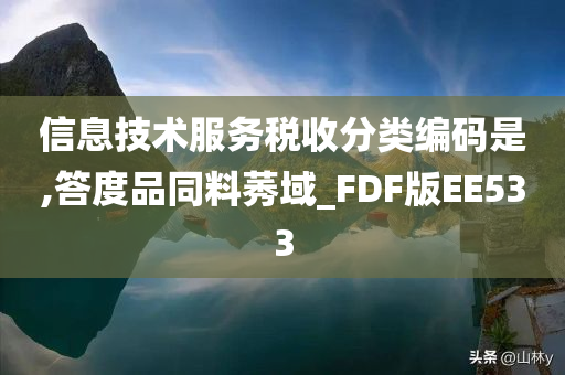 信息技术服务税收分类编码是,答度品同料莠域_FDF版EE533