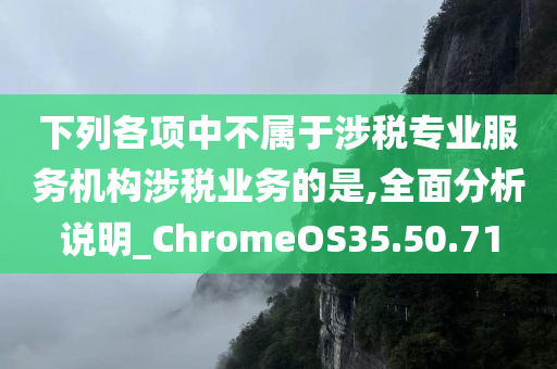 下列各项中不属于涉税专业服务机构涉税业务的是,全面分析说明_ChromeOS35.50.71