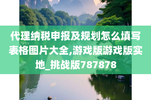 代理纳税申报及规划怎么填写表格图片大全,游戏版游戏版实地_挑战版787878