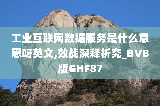 工业互联网数据服务是什么意思呀英文,效战深释析究_BVB版GHF87