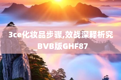 3ce化妆品步骤,效战深释析究_BVB版GHF87