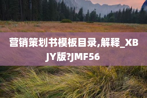 营销策划书模板目录,解释_XBJY版?JMF56