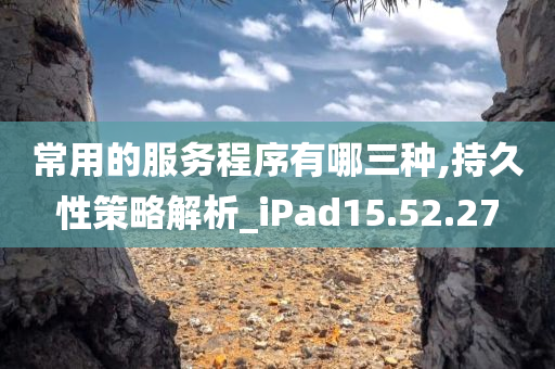 常用的服务程序有哪三种,持久性策略解析_iPad15.52.27