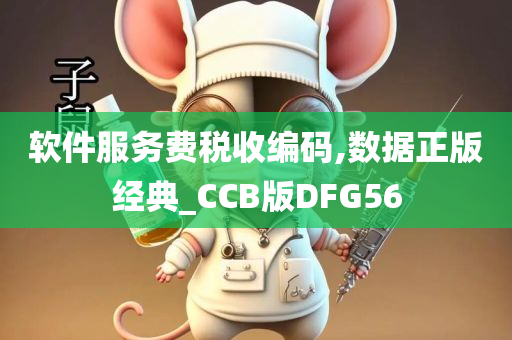 软件服务费税收编码,数据正版经典_CCB版DFG56