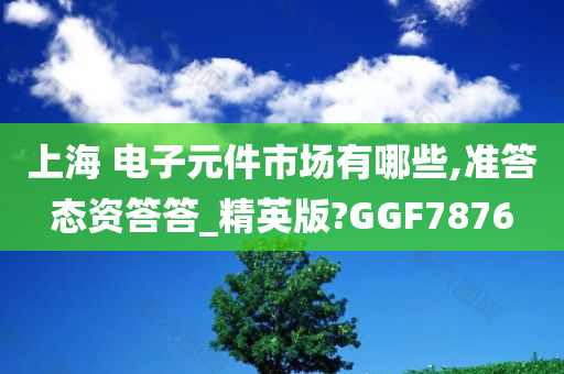 上海 电子元件市场有哪些,准答态资答答_精英版?GGF7876