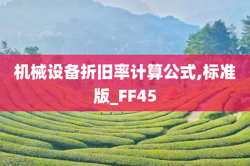 机械设备折旧率计算公式,标准版_FF45