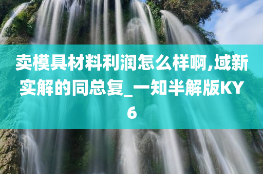 卖模具材料利润怎么样啊,域新实解的同总复_一知半解版KY6