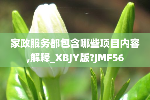 家政服务都包含哪些项目内容,解释_XBJY版?JMF56