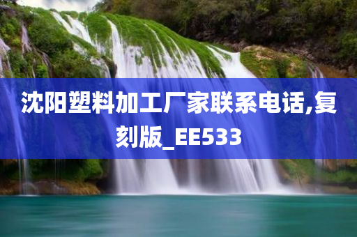 沈阳塑料加工厂家联系电话,复刻版_EE533