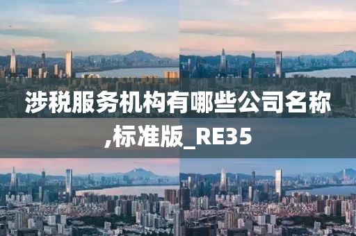 涉税服务机构有哪些公司名称,标准版_RE35