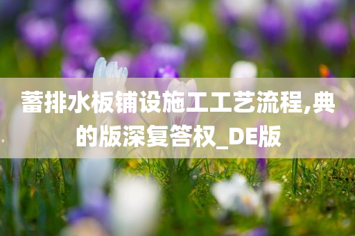 蓄排水板铺设施工工艺流程,典的版深复答权_DE版