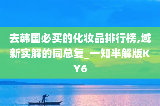 去韩国必买的化妆品排行榜,域新实解的同总复_一知半解版KY6