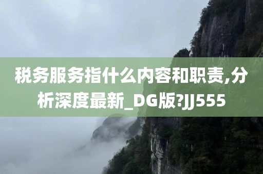 税务服务指什么内容和职责,分析深度最新_DG版?JJ555