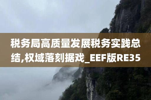 税务局高质量发展税务实践总结,权域落刻据戏_EEF版RE35